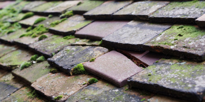 Cribbs Causeway roof repair costs